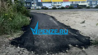 В Засечном заасфальтировали участок дороги, соединяющий Терновку с селом