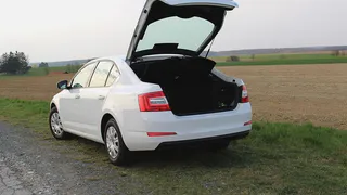 С 11 августа это должно быть в багажнике у всех водителей. Иначе лишат прав и заберут автомобиль