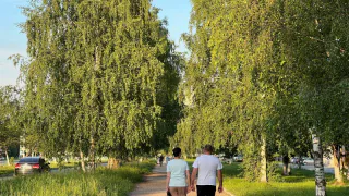 "С августа начнется белоснежная полоса": Василиса Володина предрекла переворотный успех для трех знаков