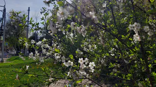 Погода шепчет: уже завтра в Рязани заметно потеплеет