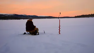 Тесто не в почете: 7 наживок для декабря - рыбка на них примчится за 2 минуты