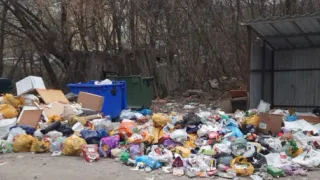 И снова проблемы с мусором: владимирская прокуратура выявила нарушения порядка вывоза отходов