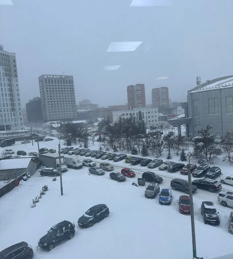 Роспотребнадзор отреагировал на жалобу жителя Терновки на «ужасный смрад»