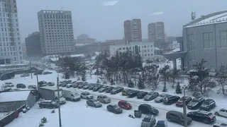 Роспотребнадзор отреагировал на жалобу жителя Терновки на «ужасный смрад»