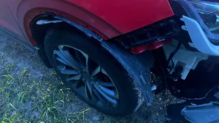 В Путятинском районе водитель Belgee насмерть сбил косулю