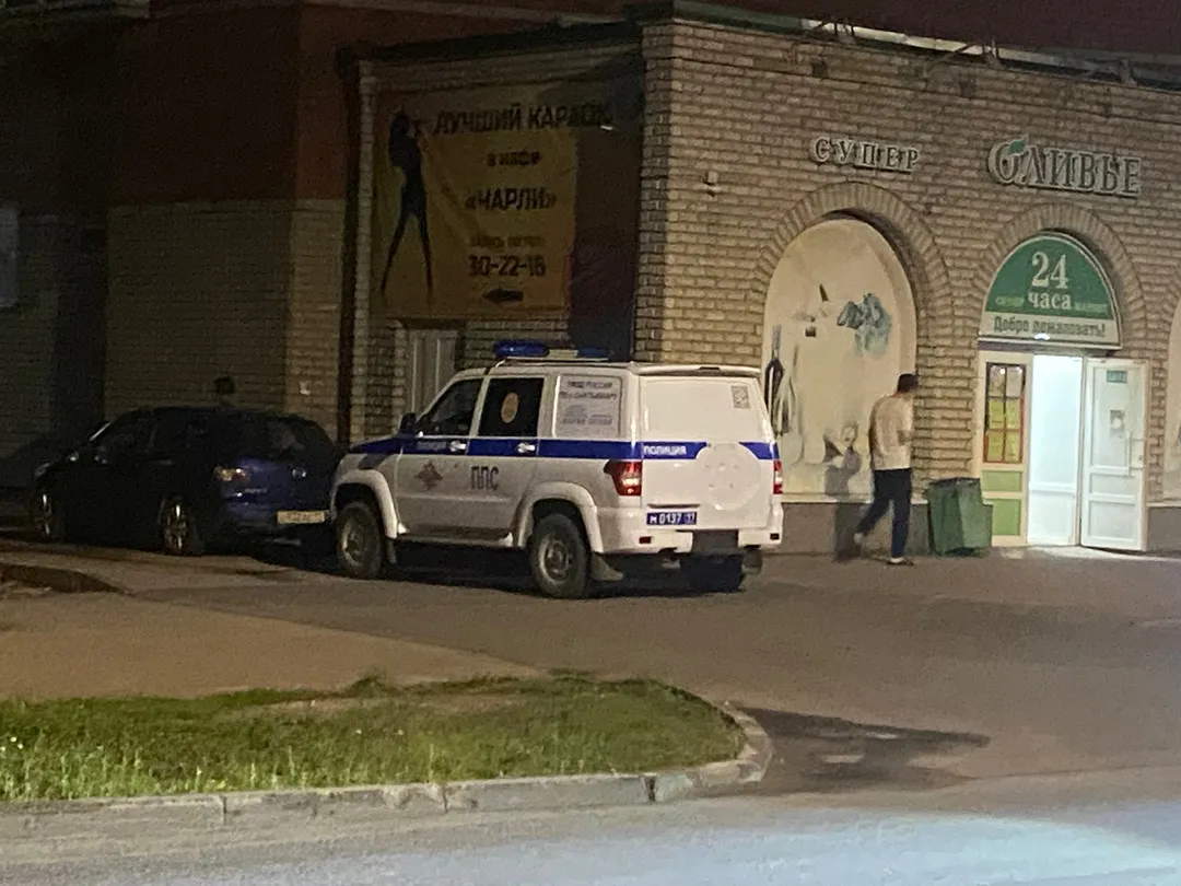 В Челябинской области задержан мужчина, стрелявший из ружья в 2-х девочек с собакой