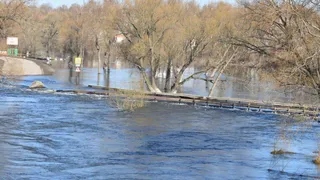 Жителей Михайлова Рязанской области предупредили о возможных паводках