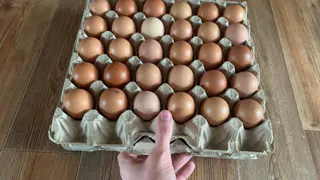 Купил яйца на рынке и в «Пятёрочке» — сравнил дома и опупел: можно ли отличить их на самом деле?