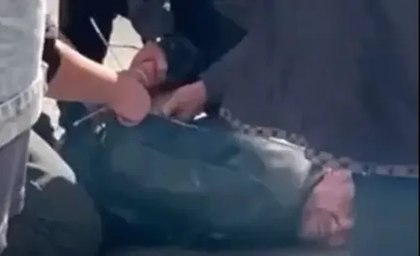 Жители Магнитогорска без помощи полиции скрутили вора, укравшего сумку у старушки