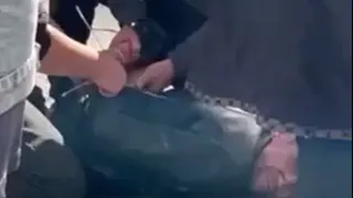 Жители Магнитогорска без помощи полиции скрутили вора, укравшего сумку у старушки