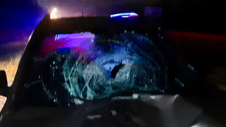 На трассе под Рязанью «Киа» насмерть сбила женщину-пешехода