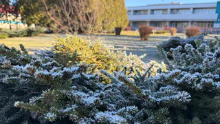 Полный откат к зиме: Гидрометцентр поменял прогноз с 17 мая — вернутся морозы и даже снег