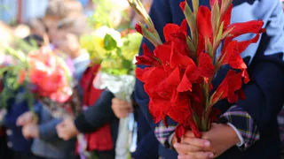 Сайт перегружен. Как проходит запись первоклассников в школу