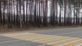 В регионе нанесли 4 667 километров разметки на дорогах за дорожный сезон 2025 года