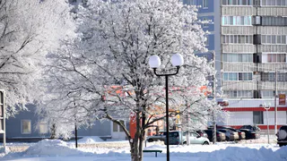 Администраторы удалили опрос о переименовании улицы Киевской в Сасове в честь героя СВО