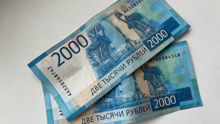 «Смешарики» судятся с рязанским предпринимателем