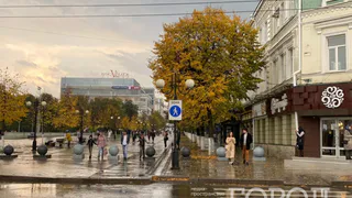 Дождь и порывы ветра: синоптики рассказали, какая погода ждет рязанцев 