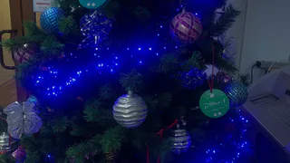 Магнитогрец проломил череп своей возлюбленной, бросив в неё новогоднюю ёлку