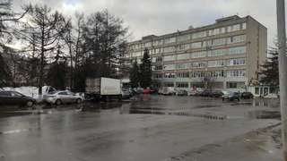 Аномальная мартовская жара и холод в мае: метеорологи сделали новый прогноз на весну 2025 года