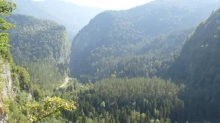 Купили дом своей мечты в Абхазии, сделали ремонт, а через год сбежали, оставив почти всё имущество: вот в чём причина