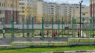 На развитие спорта из областного бюджета выделят 93 миллиона рублей