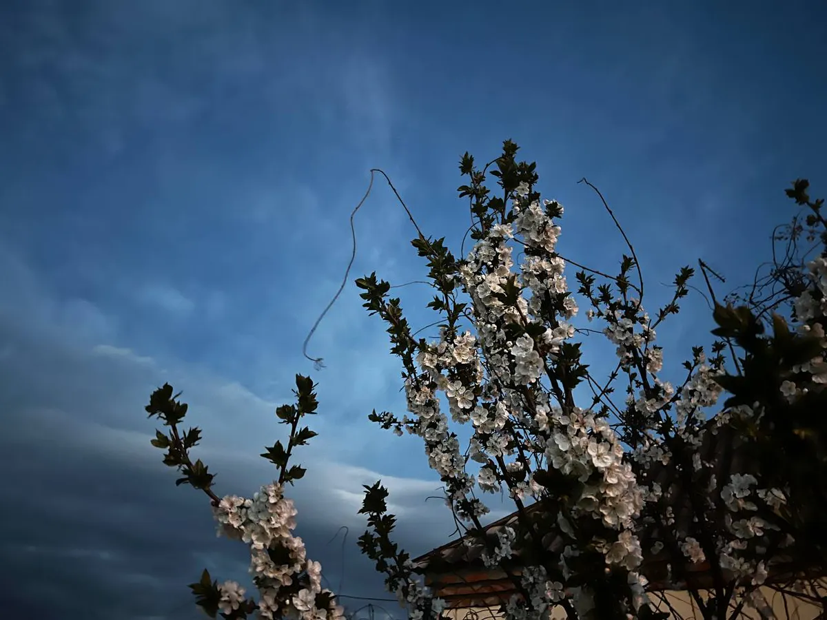 Летом нагрянет климатический ад: Гидрометцентр сказал, к чему готовиться