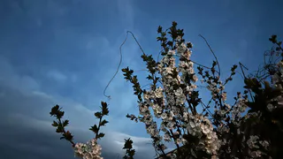 Летом нагрянет климатический ад: Гидрометцентр сказал, к чему готовиться