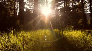 В четверг в Рязани ожидается до +26 градусов тепла