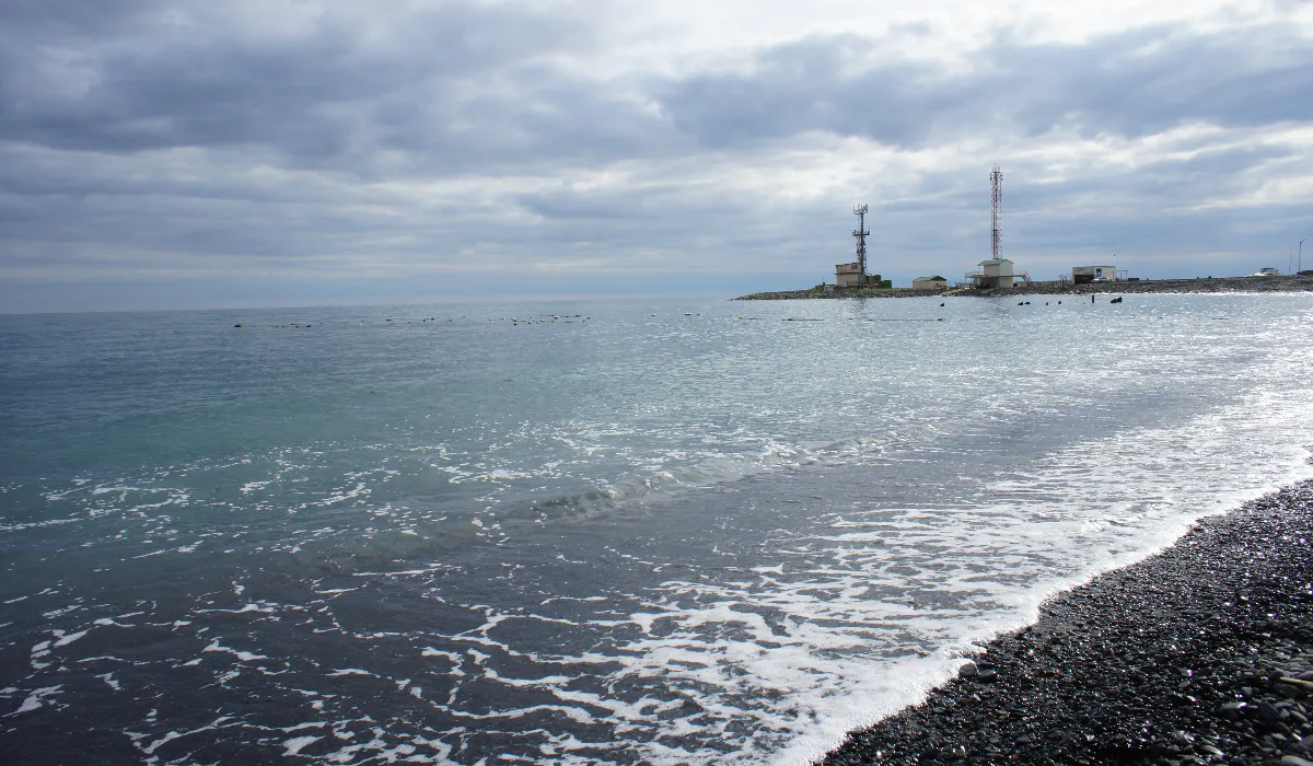 В Черном море введен режим чрезвычайной ситуации федерального уровня из-за разлива мазута