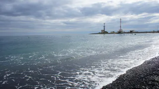 Путин о ликвидации последствий разлива мазута в Черном море