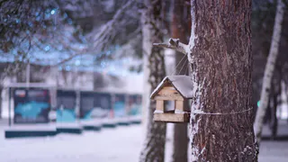 В Нижнекамске планируют создать новый парк