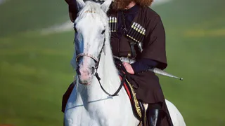 Рязанские казаки обратились к Рамзану Кадырову для расследования ситуации на конезаводе в Дивово