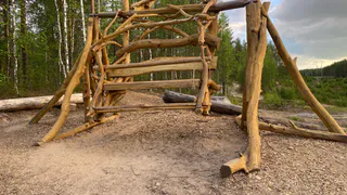 250 зон отдыха сделали в лесах Коми