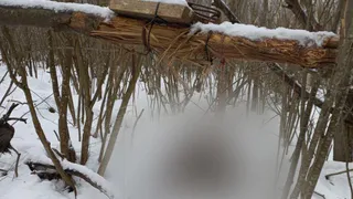 В охотничьих угодьях Вязниковского района обнаружили капканы, запрещенные к использованию