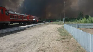 Лесной пожар под Рязанью охватил почти 1700 гектаров