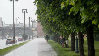В августе наступит ранняя осень: метеорологи скорректировали прогноз на финал лета