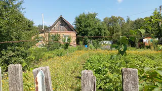 У вас — свобода, а мы за это платим: что поразило американца в российской глухомани 