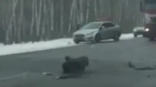 На трассе под Рязанью две легковушки улетели в кювет: видео и подробности от очевидца