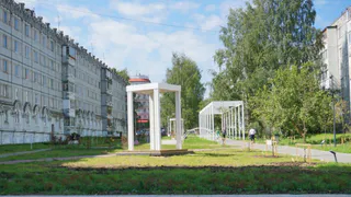 Подрядчик по озеленению Яблоневой аллеи Сыктывкара попал в черный список