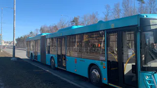 В Пензе остановки переполнены людьми из-за опаздывающего транспорта