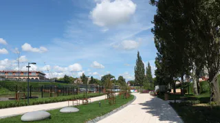 Школу у стадиона «Спартак» в Рязани могут так и не построить