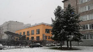 Даже не верится, что так быстро: синоптики назвали дату, когда уже выпадет снег