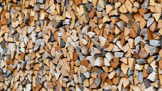 Как выбрать лучшие дрова для печей и каминов: топ-3 породы древесины