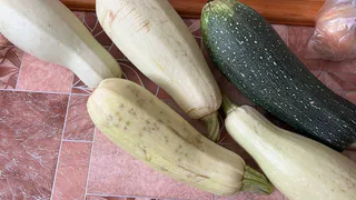 Не бойтесь зимы: бабушкин способ сохранить картошку и морковку сочными до самой весны