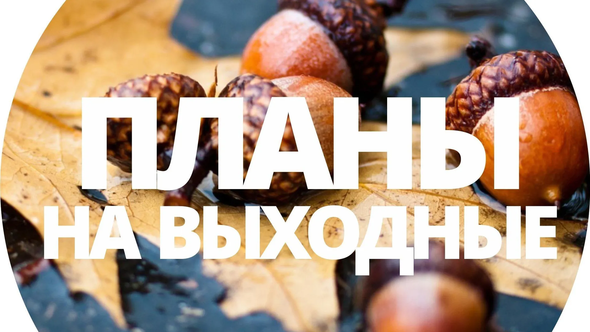 Чем заняться в эти выходные в Нижнекамске