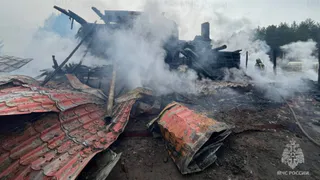 Крупный пожар уничтожил два строения в деревне Нерлинка Камешковского района