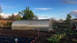 С 8 мая теплицы будут запрещены: приняли решение для, у кого есть дача или участок - взведут новый штраф