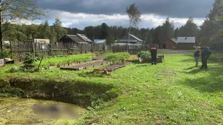 В селе Березники Собинского округа в частном пруду утонула пожилая женщина