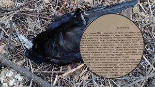 "Выброс, а потом – мертвые птицы": рязанские активисты, которые выступают за чистый воздух, пишут заявления в полицию