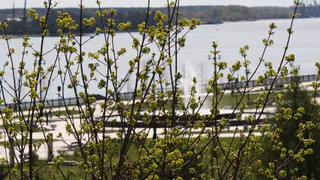 В Рязань придет потепление